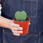 Load image into Gallery viewer, Sweatheart
