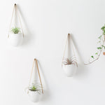 Load image into Gallery viewer, Nova
