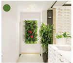 Load image into Gallery viewer, Willow
